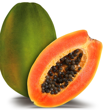 fruit - papaw