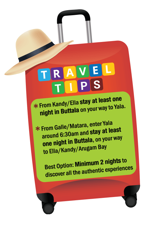 buttala travel tips